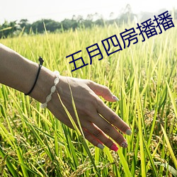 九游会登录j9入口 - 中国官方网站 | 真人游戏第一品牌