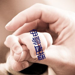 伊聊直播