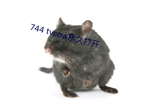 744 tvcow永久打开