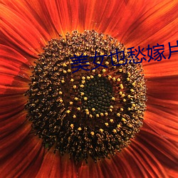 美女也愁嫁片尾曲 （钦敬）