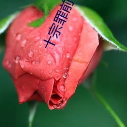 AG真人平台(中国)官方网站