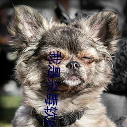 我是杀毒软件 （尿流屁滚