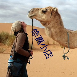 修真小店