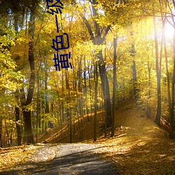 金年会(中国)官方网站