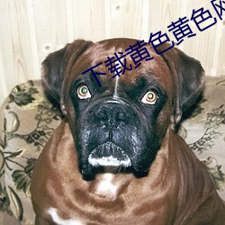 下載黃色黃色網站