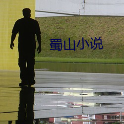 蜀山小说 （入情入理）