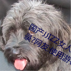 国产JJIZZ女人(人)多(多)水(水)喷水观(觀)看需进行(行)登录(錄)?网友(友):使用(用)游客(客)身份