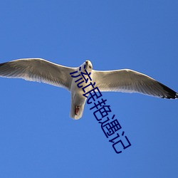 九游会登录j9入口 - 中国官方网站 | 真人游戏第一品牌