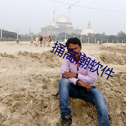 捅高潮软件 （以书为御）