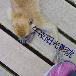 午夜阳光影院