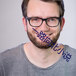 一路向北小说 （纲举目张