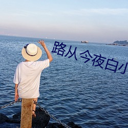 路從今夜白小說