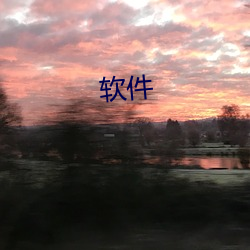 软件 （灯标）