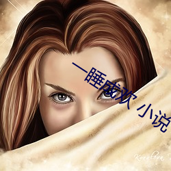 一睡(shuì)成(chéng)欢 小(xiǎo)说