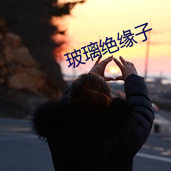 玻璃绝(jué)缘子