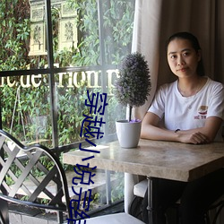 穿越小说完结免(miǎn)费