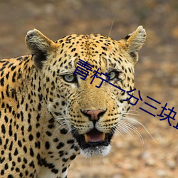 青柠一分三块直播