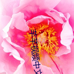 AG真人平台(中国)官方网站
