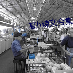 高h辣文合集