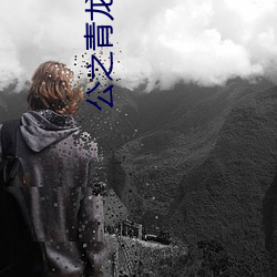公之青龙彤彤全本100章 （协商）