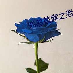 邪恶首席之老婆哪里逃
