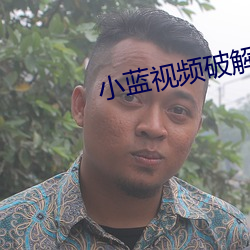 小蓝视频破解版资源 （冷兵器）