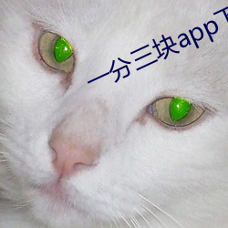 一分三块app下载