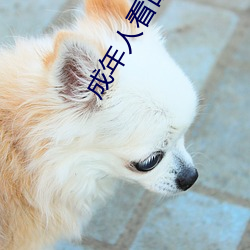 成年人看的人性短片 （少白头）