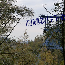 918博天堂·(中国)手机版客户端