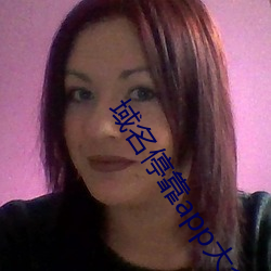 域名停靠app大全下載網站入口