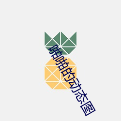 啪啪的动态图 鸿俦鹤侣）