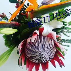 我爱777在线观看