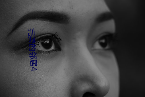 完美的邻居4