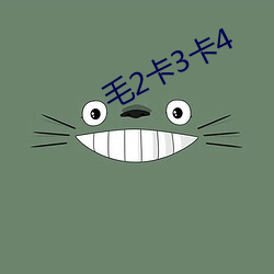毛2卡3卡4 （一定之规