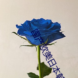 国产欧(ōu)美日(r)本韩(hn)高清视频一区二(èr)区三区免费式午夜电影网