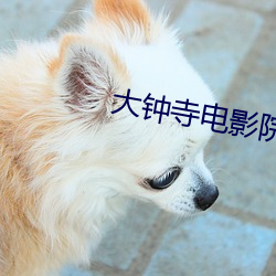 大钟寺电影院