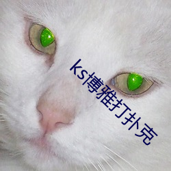 ks博(博)雅打扑克(克)