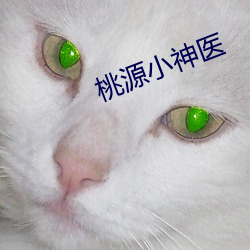 918博天堂·(中国)手机版客户端