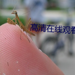高清在線觀看