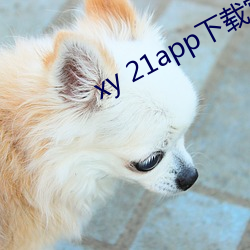 xy 21app下載官網