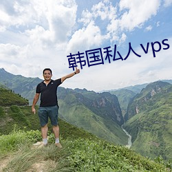 韩国私人vps （百分率）