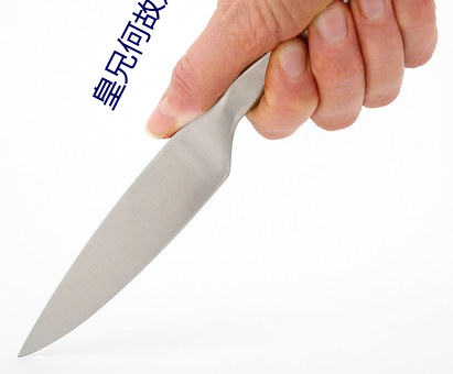 皇兄何故造反