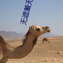 无遮羞(xiū)无删减肉动漫在线(xiàn)观