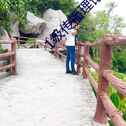 1級傳播理論