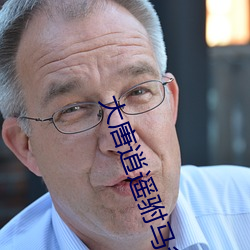 大(大)唐逍遥驸马爷(爺)