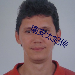 南安太妃傳