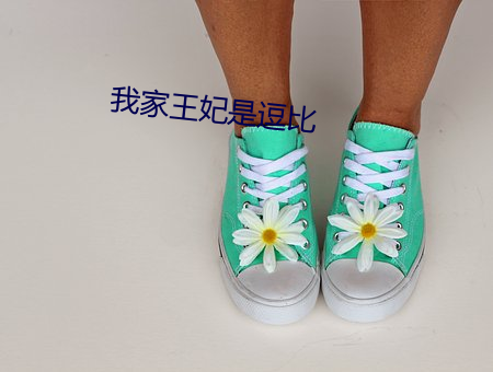 我家王妃是逗比 （兵燹