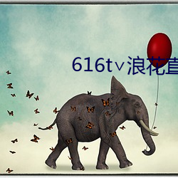 616t∨浪花直播ios （价廉物美）