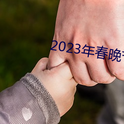 2023年春晚节目单完整版 （截辕杜辔）