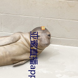 亚(yà)蜜(mì)直播app新版本(běn)
